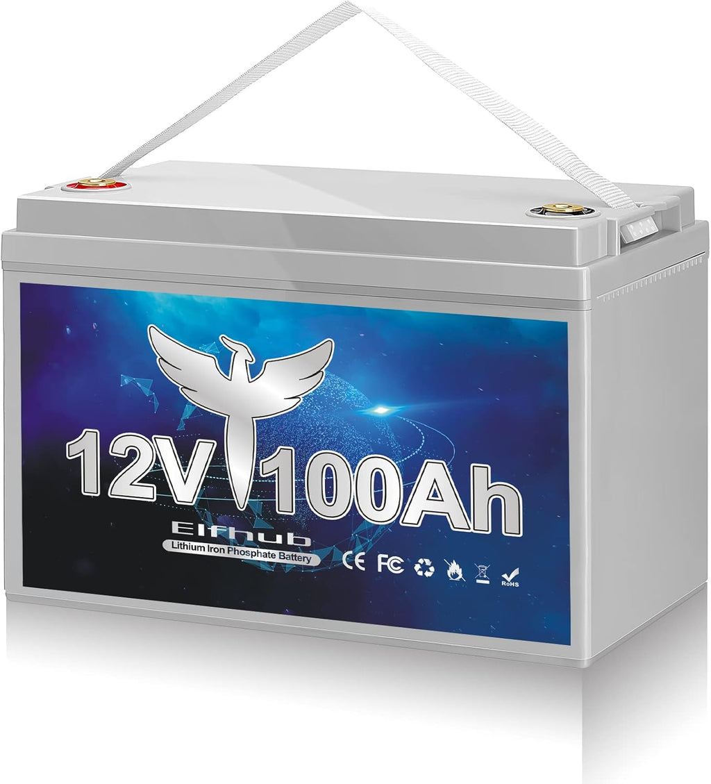 12V 100Ah Deep Cycle LiFePO4 Battery with Built-in BMS B23391