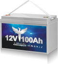12V 100Ah Deep Cycle LiFePO4 Battery with Built-in BMS B23391