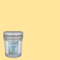 Interior Paint (5-Gallon) Z334134