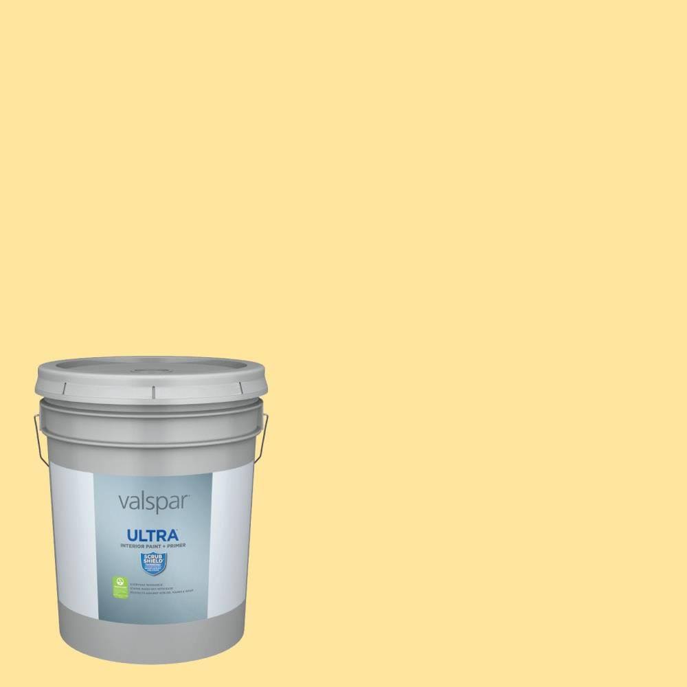 Interior Paint (5-Gallon) Z334134