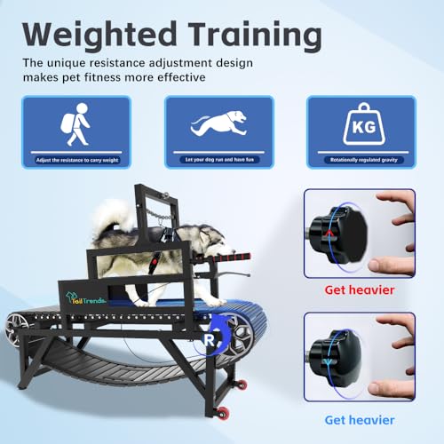 Dog Treadmill with Brake & Resistance Adjustment, Supports Up to 300 lbs U954995