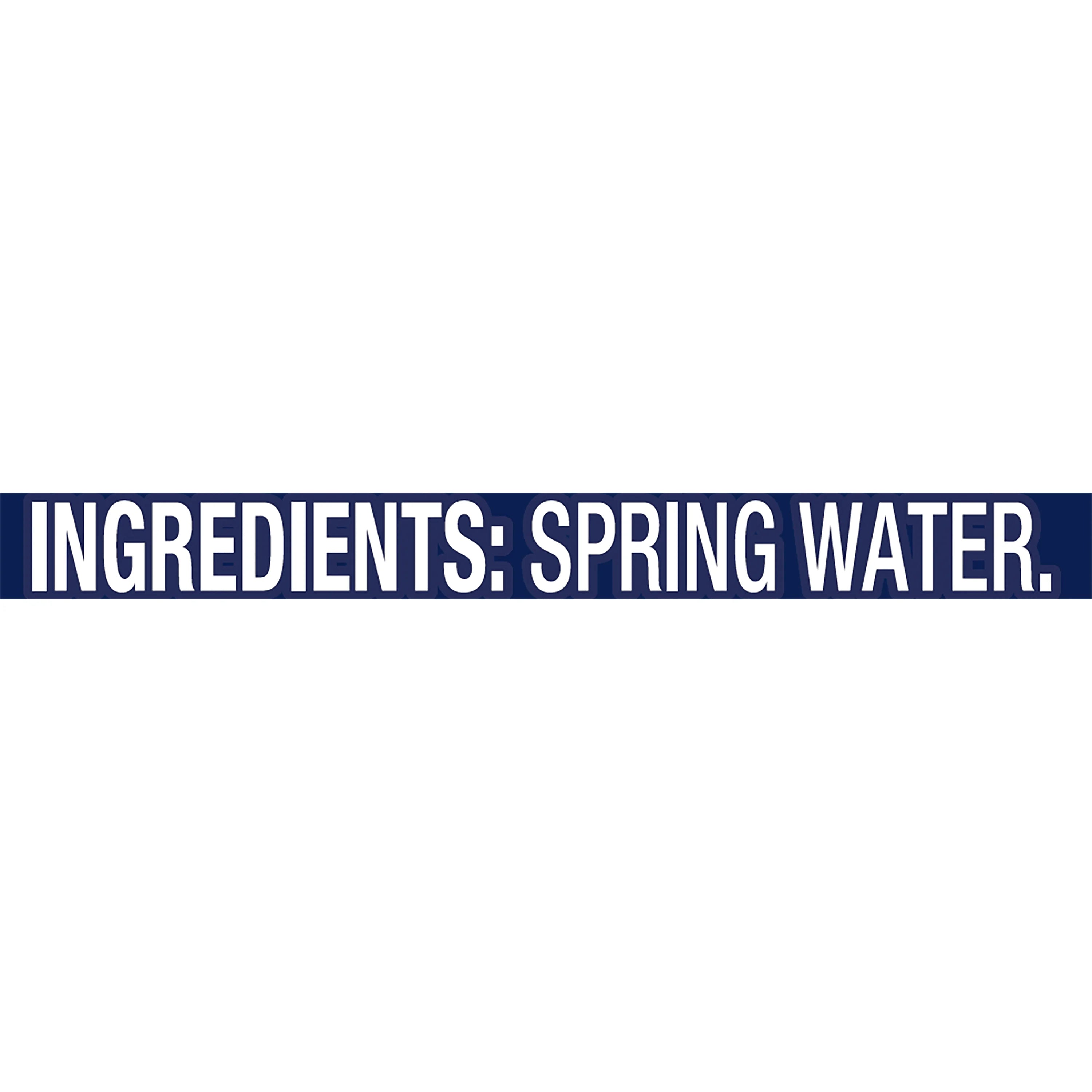 101.4-ounce Spring Water Plastic Jugs (Pack of 6) R5376