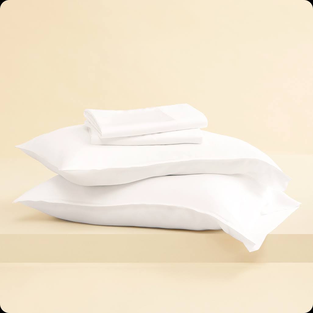 Blush 4-Piece Eucalyptus Sheet Set T85972