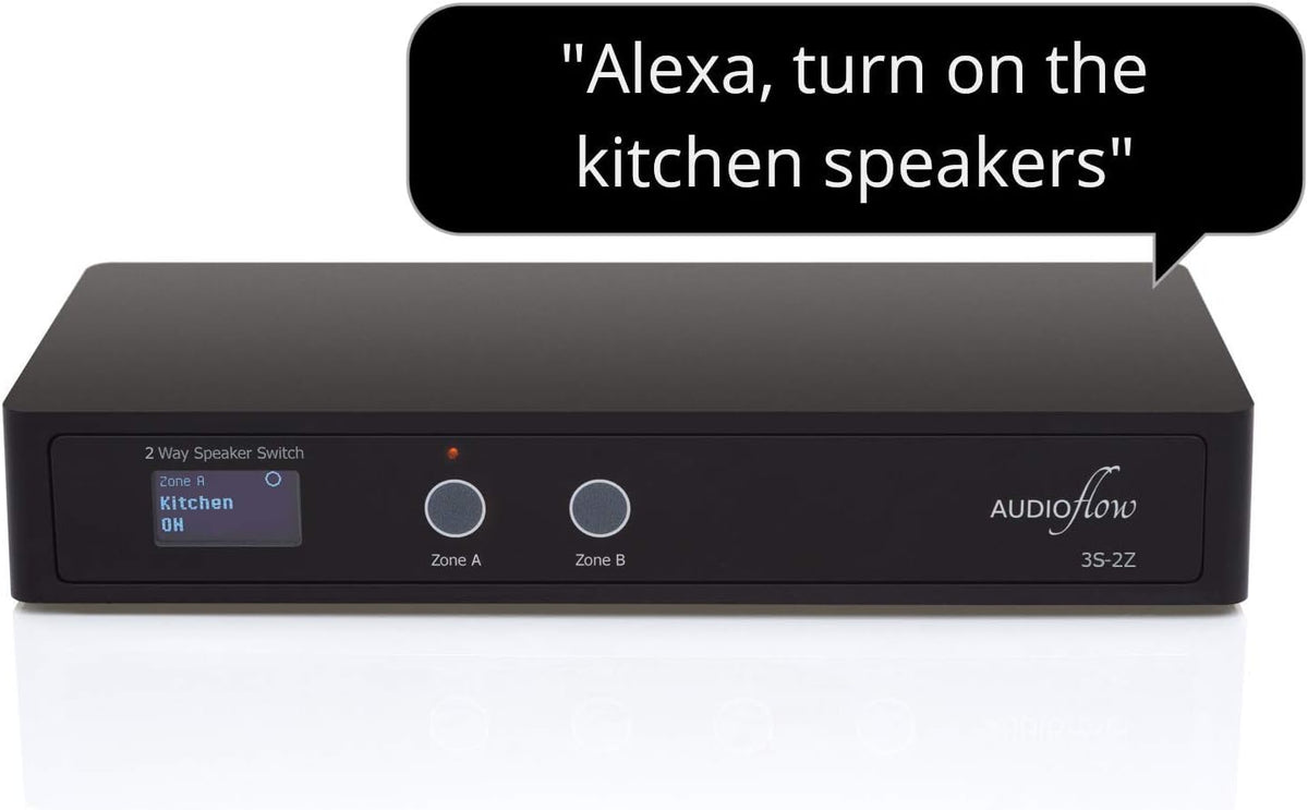 2 Way Speaker Switch Selector Box H52101