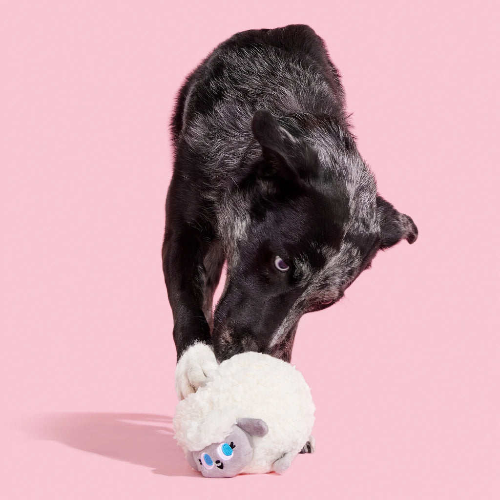 Plush Dog Toys with Crinkle and Squeaker Ball L134094