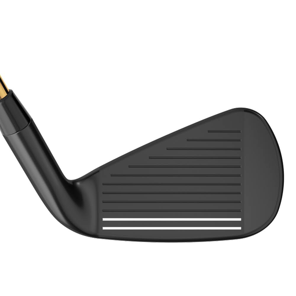 Graphite SW Regular LH Iron H120