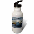 21 oz Sports Water Bottle X67259