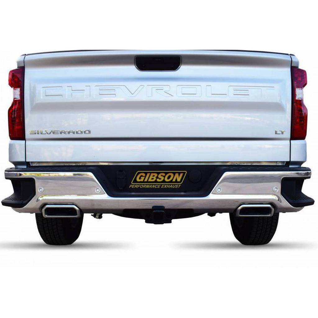Stainless Cat-Back Dual Split Exhaust System A147