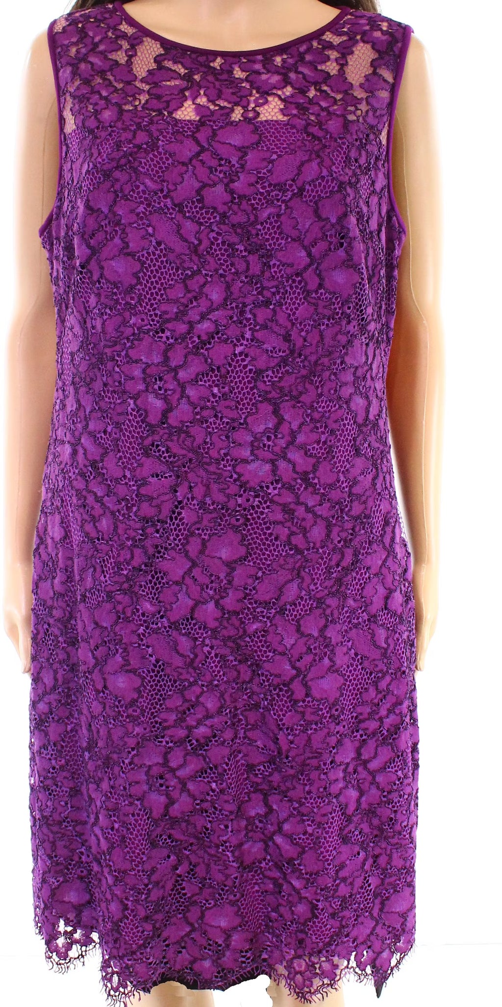 Plum Scalloped Lace Sheath Dress M434