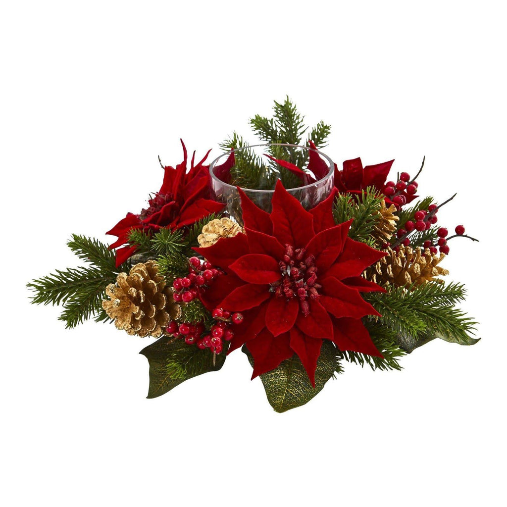 Amaryllis Candelabrum Z647269