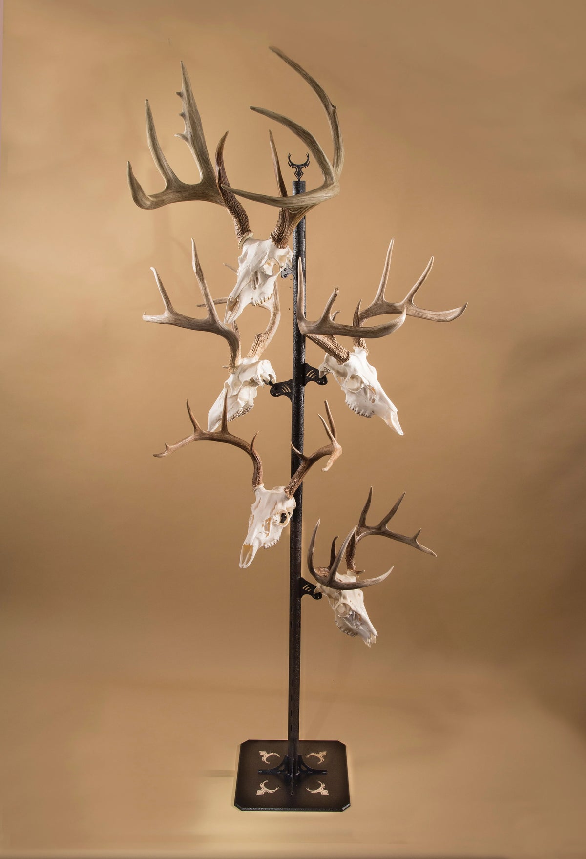 Black Trophy Tree Floor Display with 5 Mounting Brackets S315660