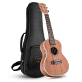 Concert Sapele Ukulele N262849