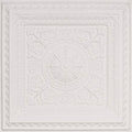 PVC Ceiling Tile (Case / 100 sq.ft), Pack of 2 H472668
