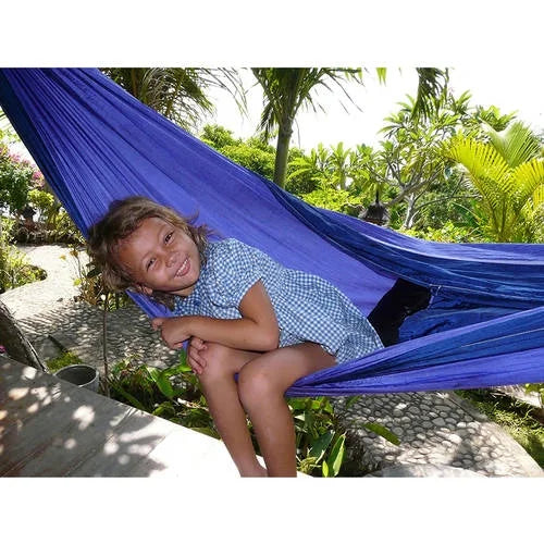 Double Blue/Purple Hammock B588