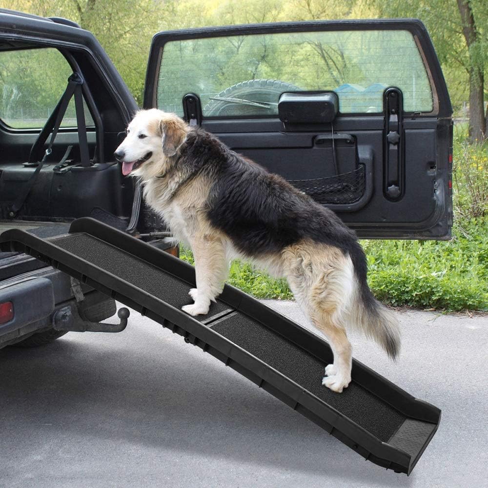 62"L Heavy Duty Folding Dog Ramp M741223