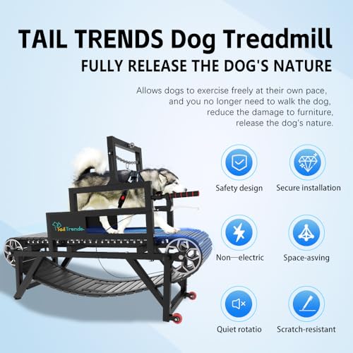 Dog Treadmill with Brake & Resistance Adjustment, Supports Up to 300 lbs U954995