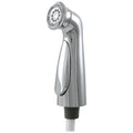 Polished Nickel Side Spray and Hose Assembly H917