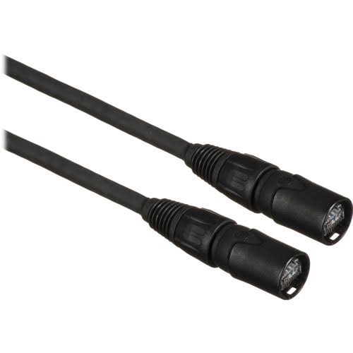 ProCat etherCON Cable - 100 Foot J863123