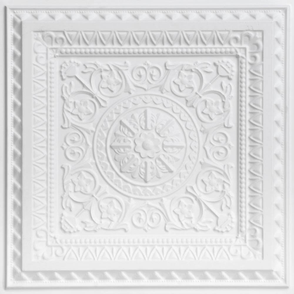 PVC Ceiling Tile (Case / 100 sq.ft), Pack of 2 H472668
