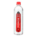 Case of 12 Water L26100
