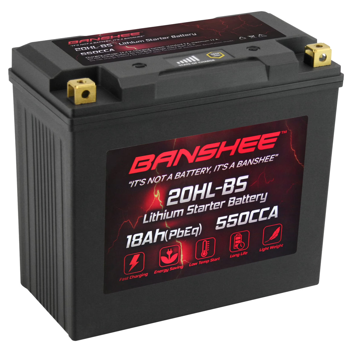LiFePO4 Motorsports Battery A270