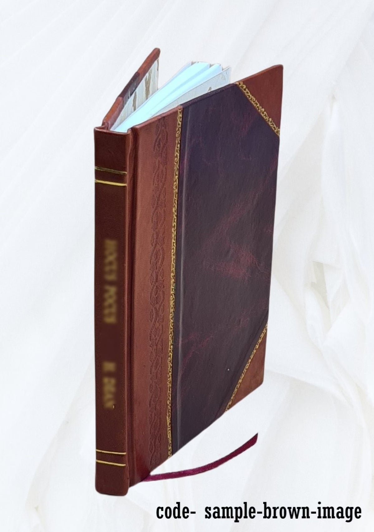 Leather Bound Book O873