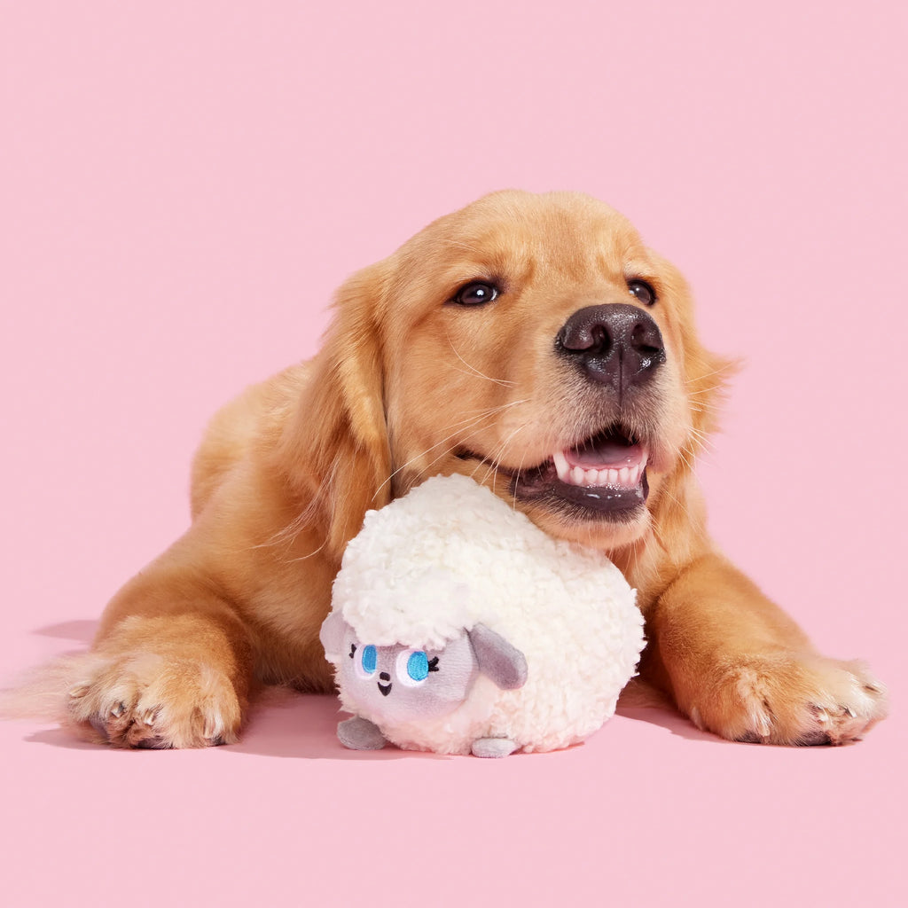 Plush Dog Toys with Crinkle and Squeaker Ball L134094