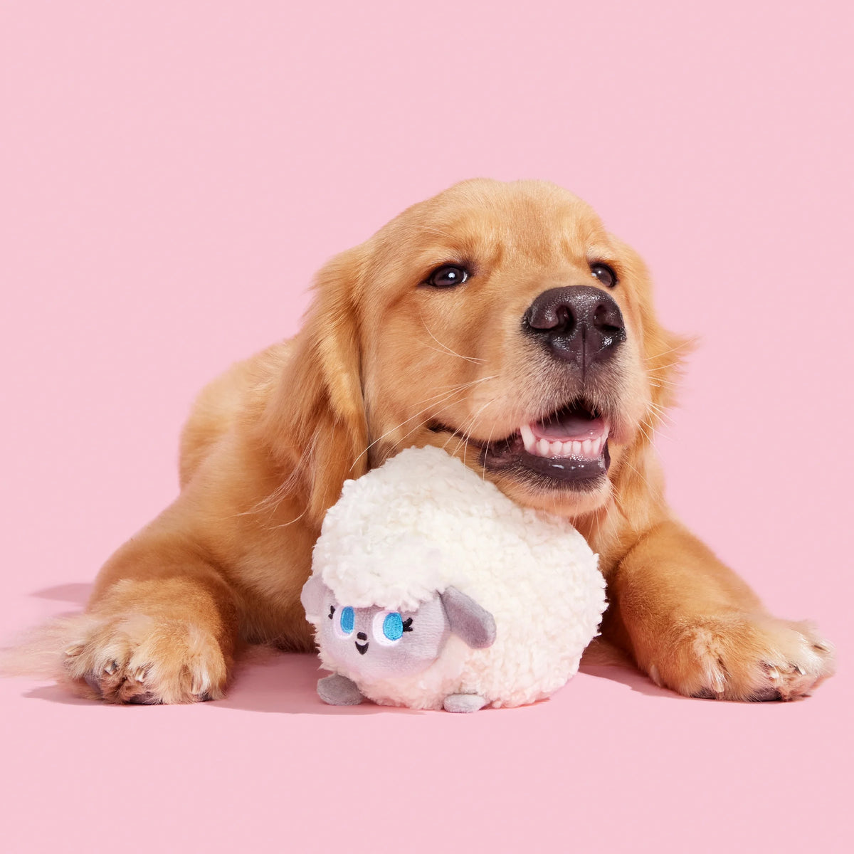 Plush Dog Toys with Crinkle and Squeaker Ball L134094