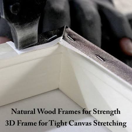Canvas H453909