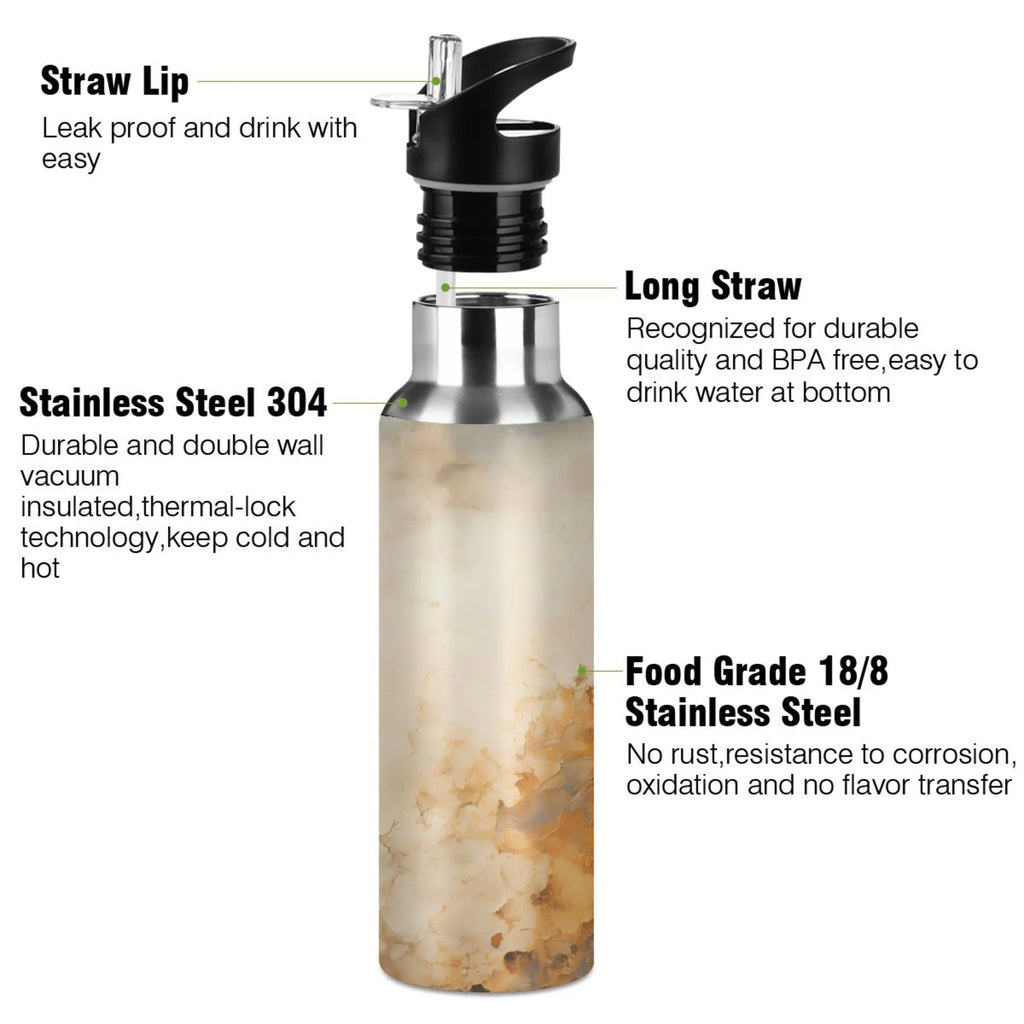 Stainless Steel Insulated Water Bottle with Straw Lid Y956303