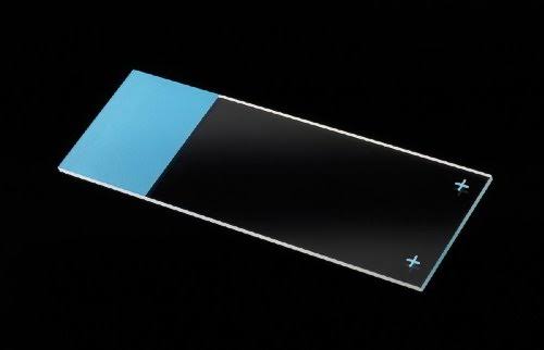 1440 Positive Charged Frosted Microscope Slides M662