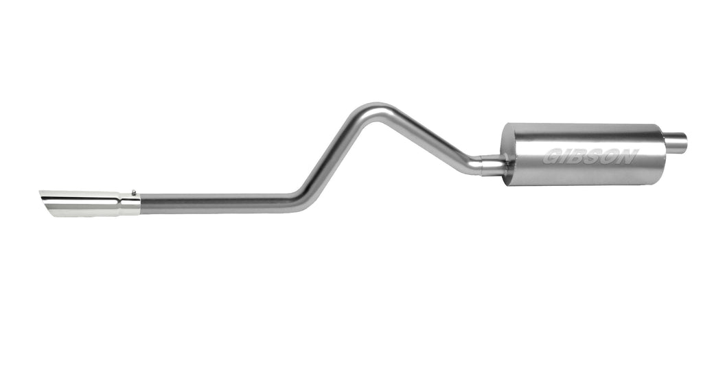 Stainless Cat-Back Dual Split Exhaust System A147