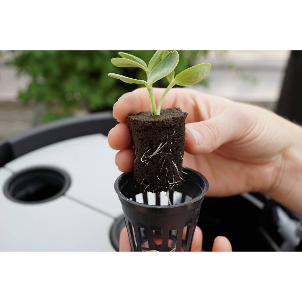 Black Magic Grow Pail X8109