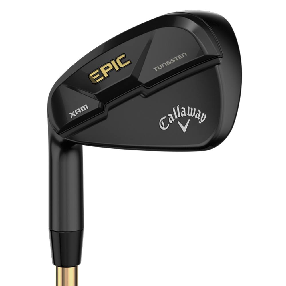Graphite SW Regular LH Iron H120