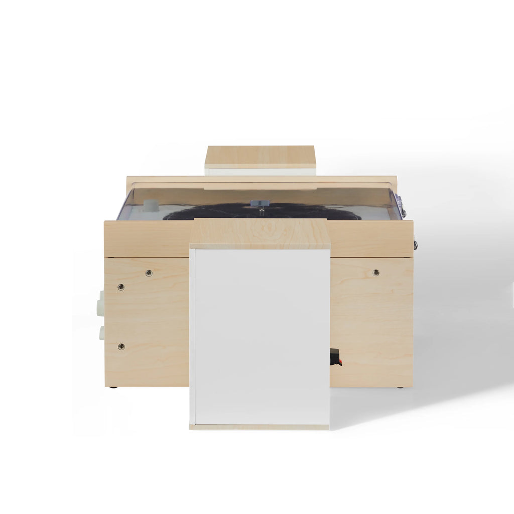 Vinyl Record Player with Speakers and Bluetooth Turntable N740
