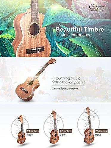 Concert Sapele Ukulele N262849