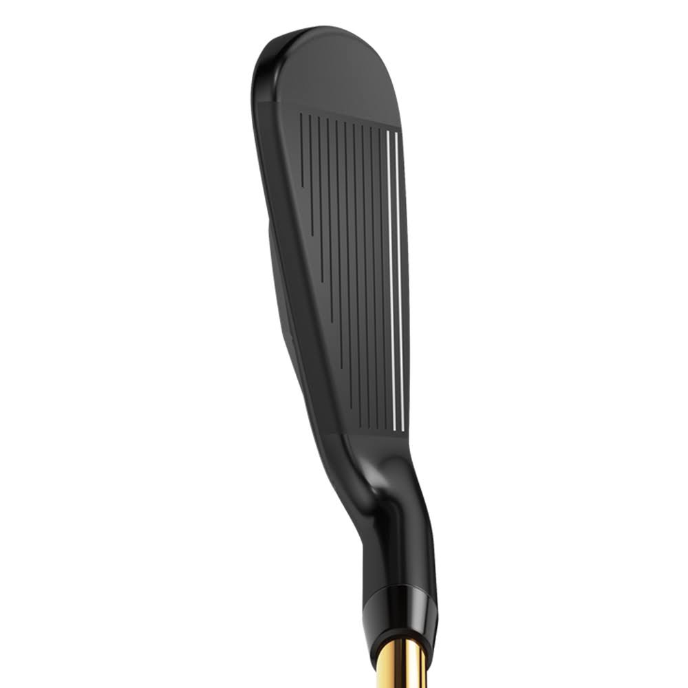 Graphite SW Regular LH Iron H120